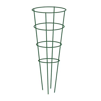 Cage à tomate en acier galvanisé ou vert foncé 42''