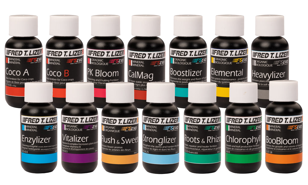 Fred T. Lizer Kit Maître