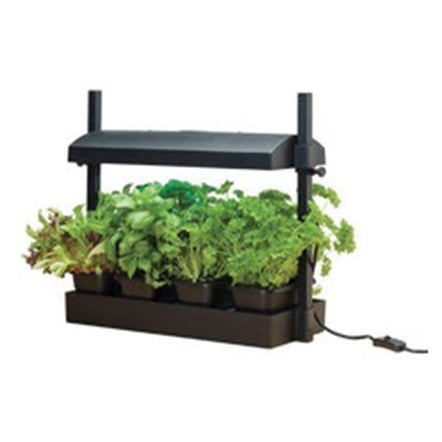 Grow light garden moyen - noir