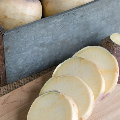 Semence : rutabaga (helenor)