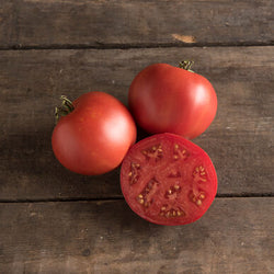 Semence : tomate (moskvich)