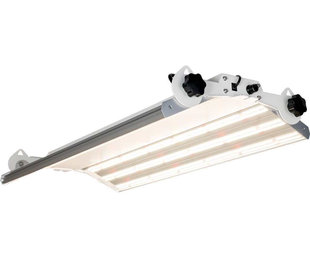 Lumière Phantom Pheno 440 LED 440W