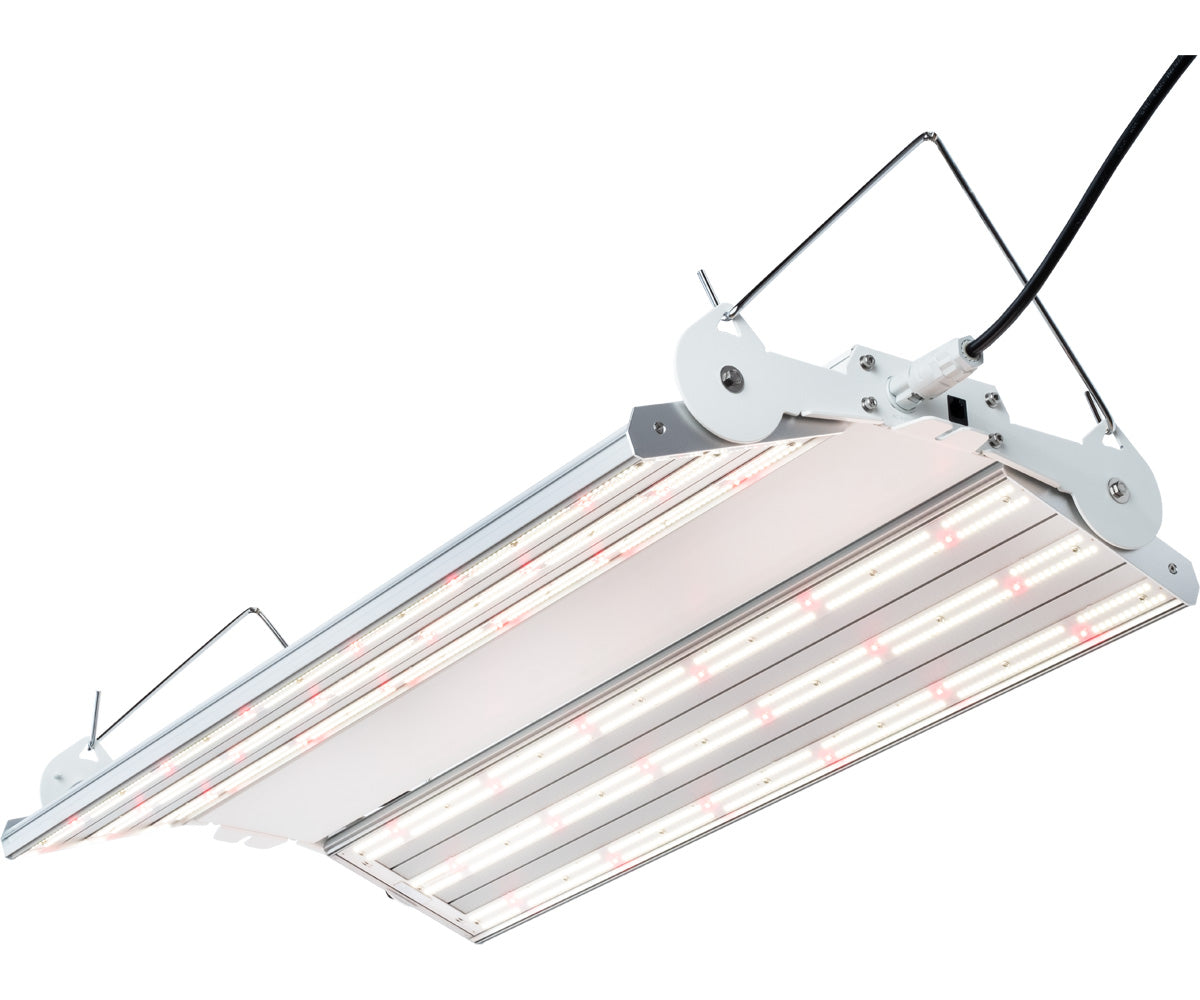 Lumière Phantom Pheno 440 LED 440W