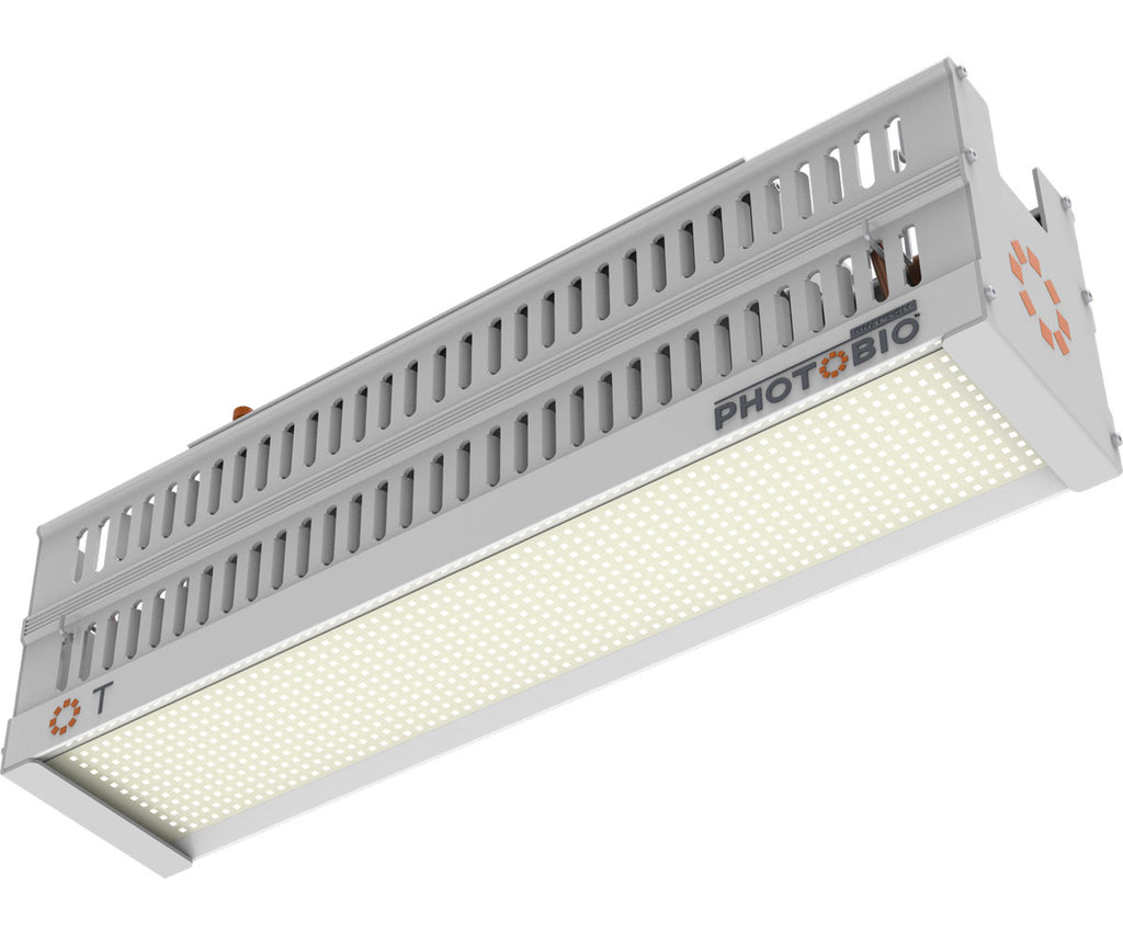 Lumière PHOTOBIO T LED, 330W, 100-277V S4 (SANS CORDON)