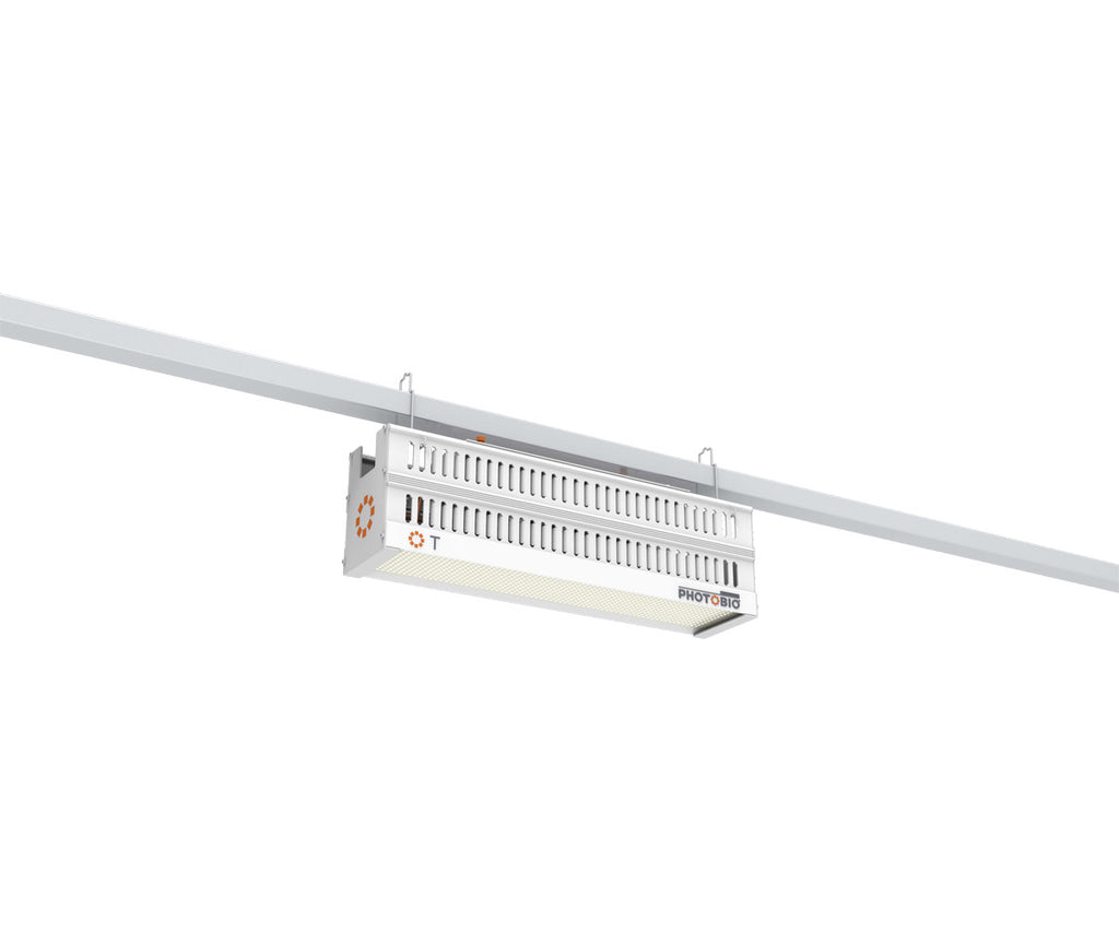 Lumière PHOTOBIO T LED, 330W, 100-277V S4 (SANS CORDON)