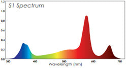 Lumière PHOTOBIO T LED, 330W, 100-277V, S4 spectrum