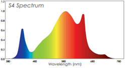 Lumière PHOTOBIO T LED, 330W, 100-277V, S4 spectrum