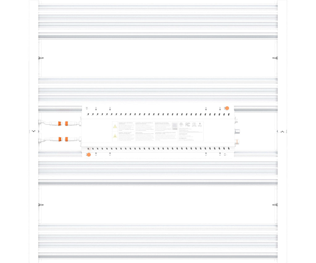 Lumière PHOTOBIO - Mx 680W