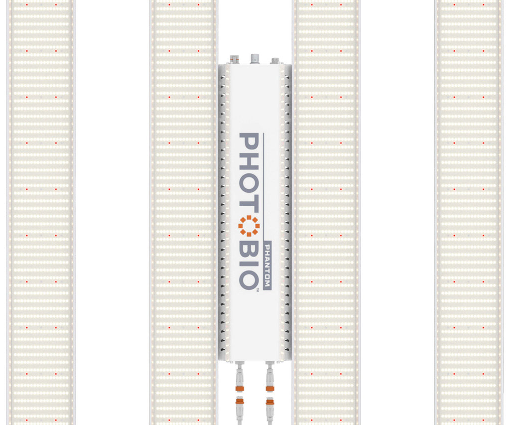 Lumière PHOTOBIO - Mx 680W