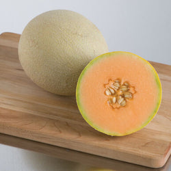 Semence : melon cantaloupe (Sarah )