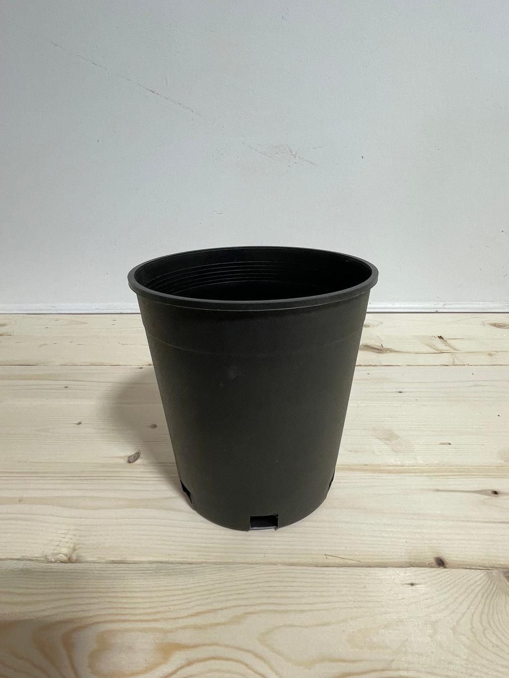 Pot en plastique noir 6’’/1 galon
