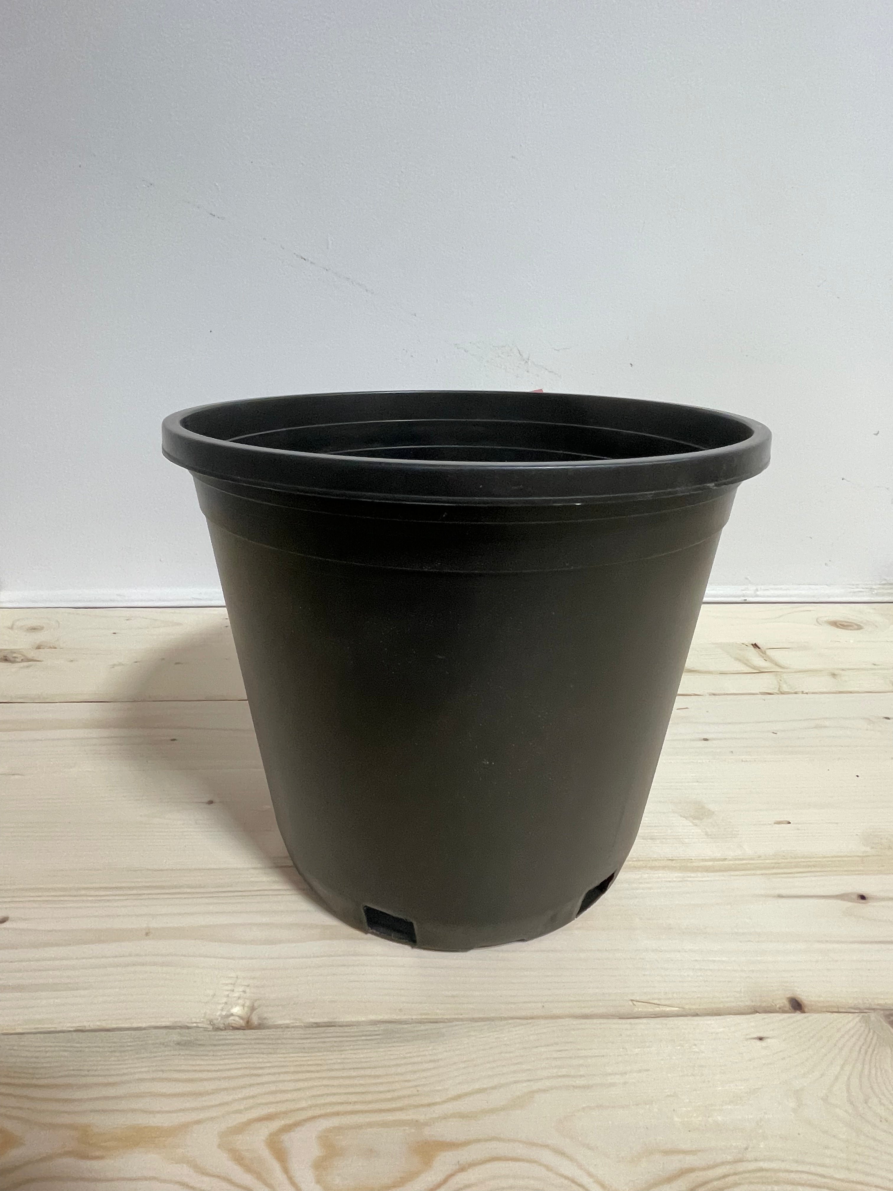 Pot en plastique noir 10’’/3 galons
