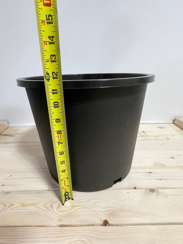 Pot en plastique noir 14’’/7 galons