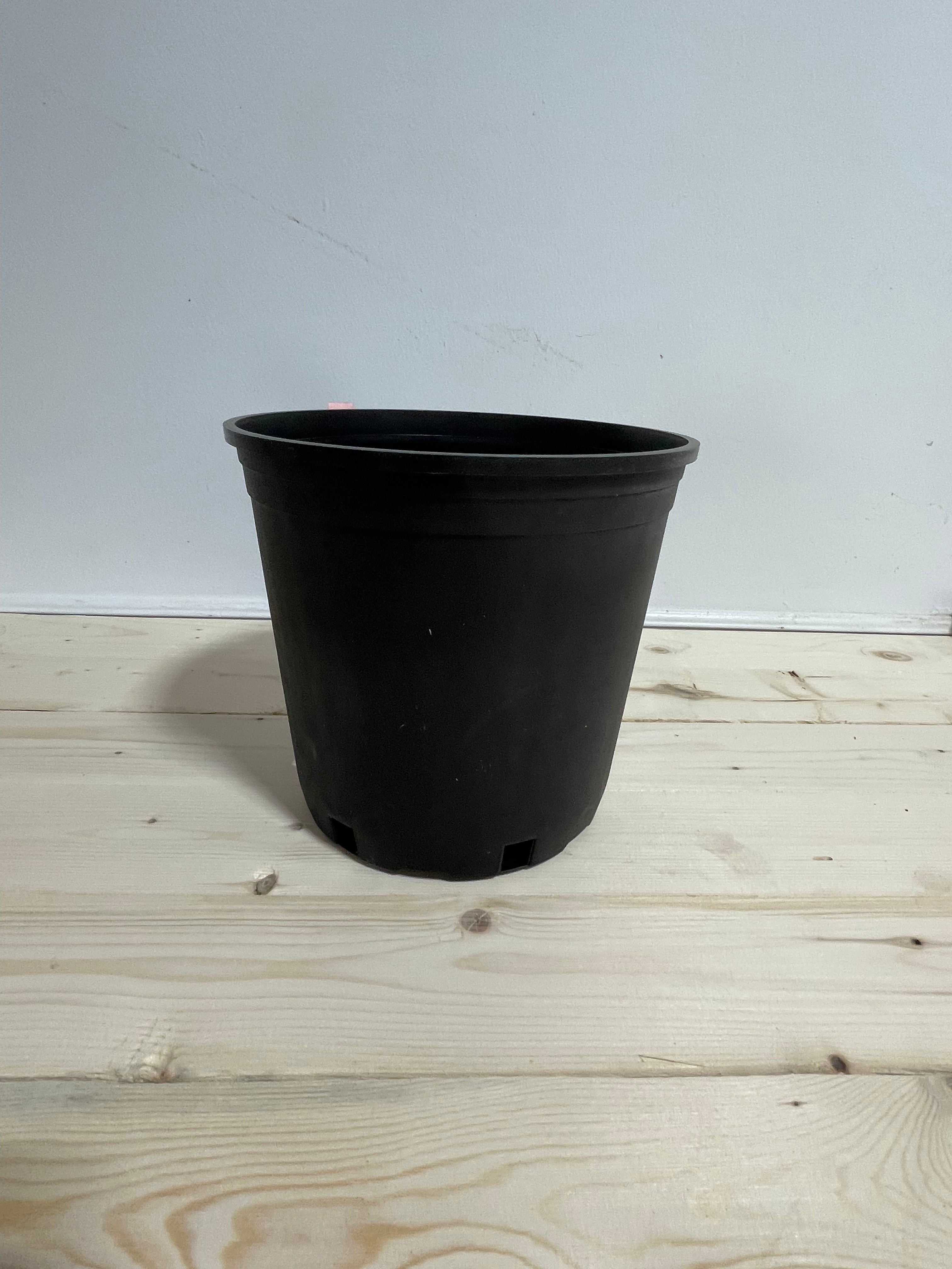 Pot en plastique noir 9’’/2 gallons