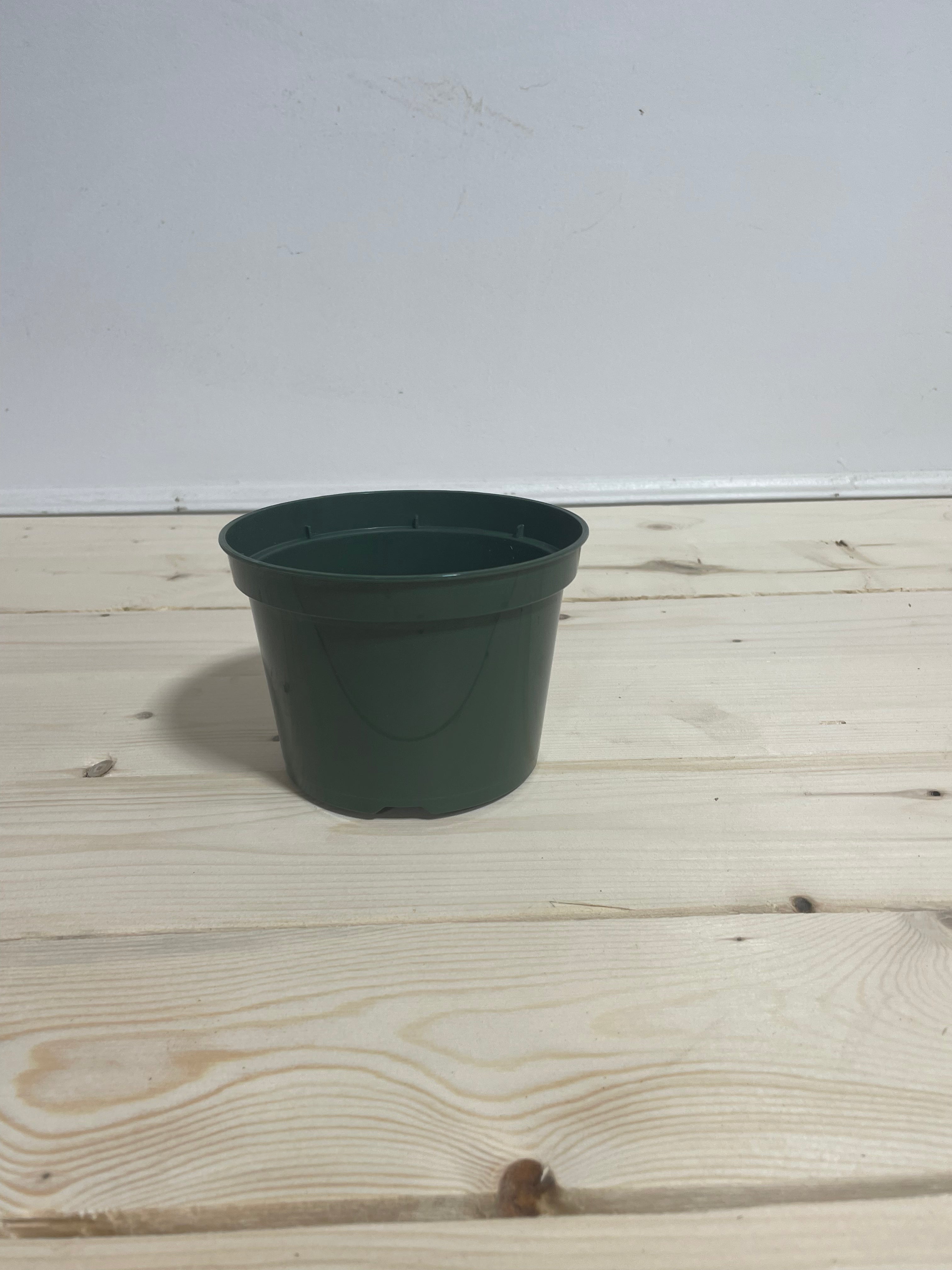 Pot en plastique vert 5''