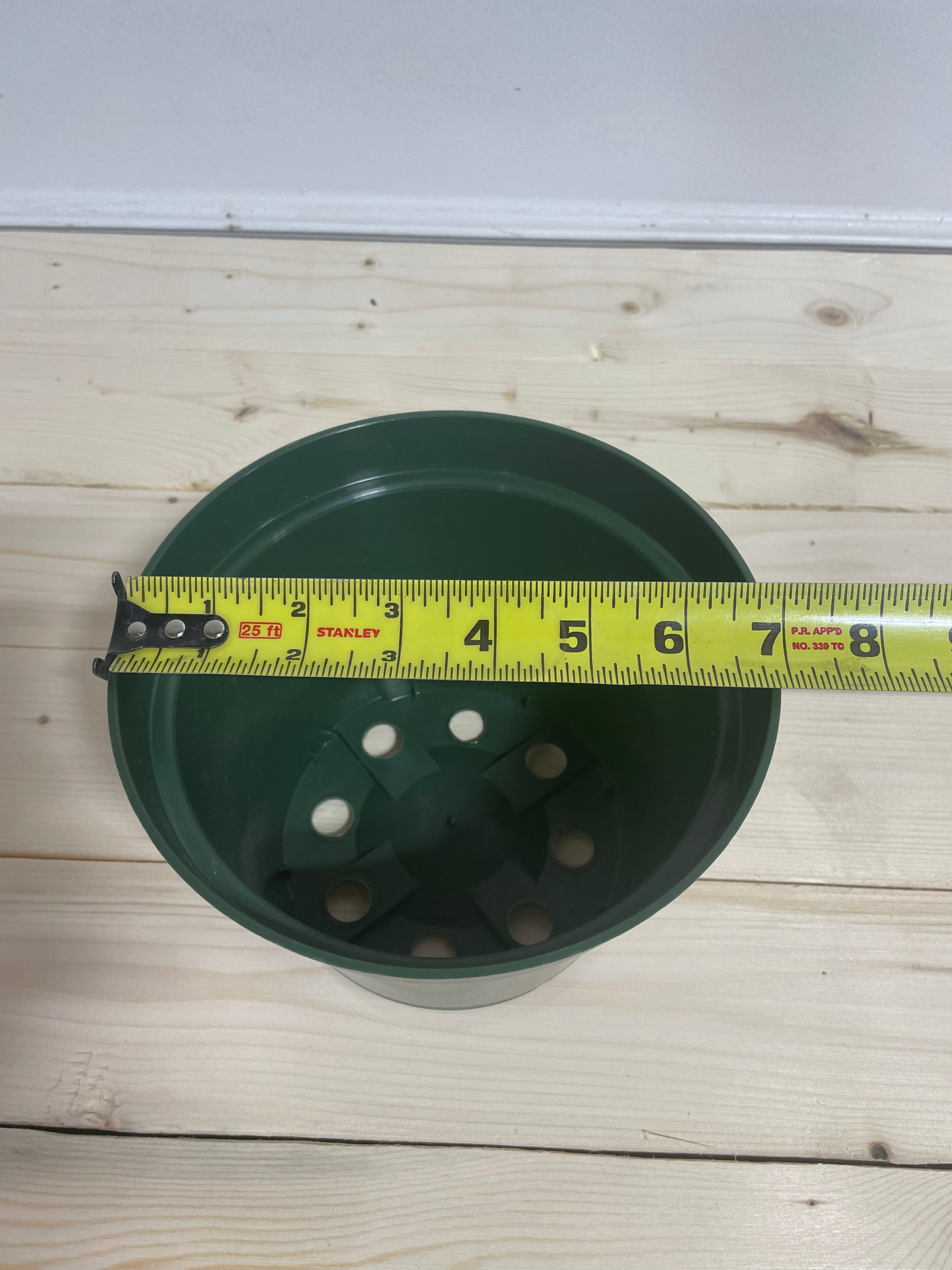 Pot en plastique vert 7''