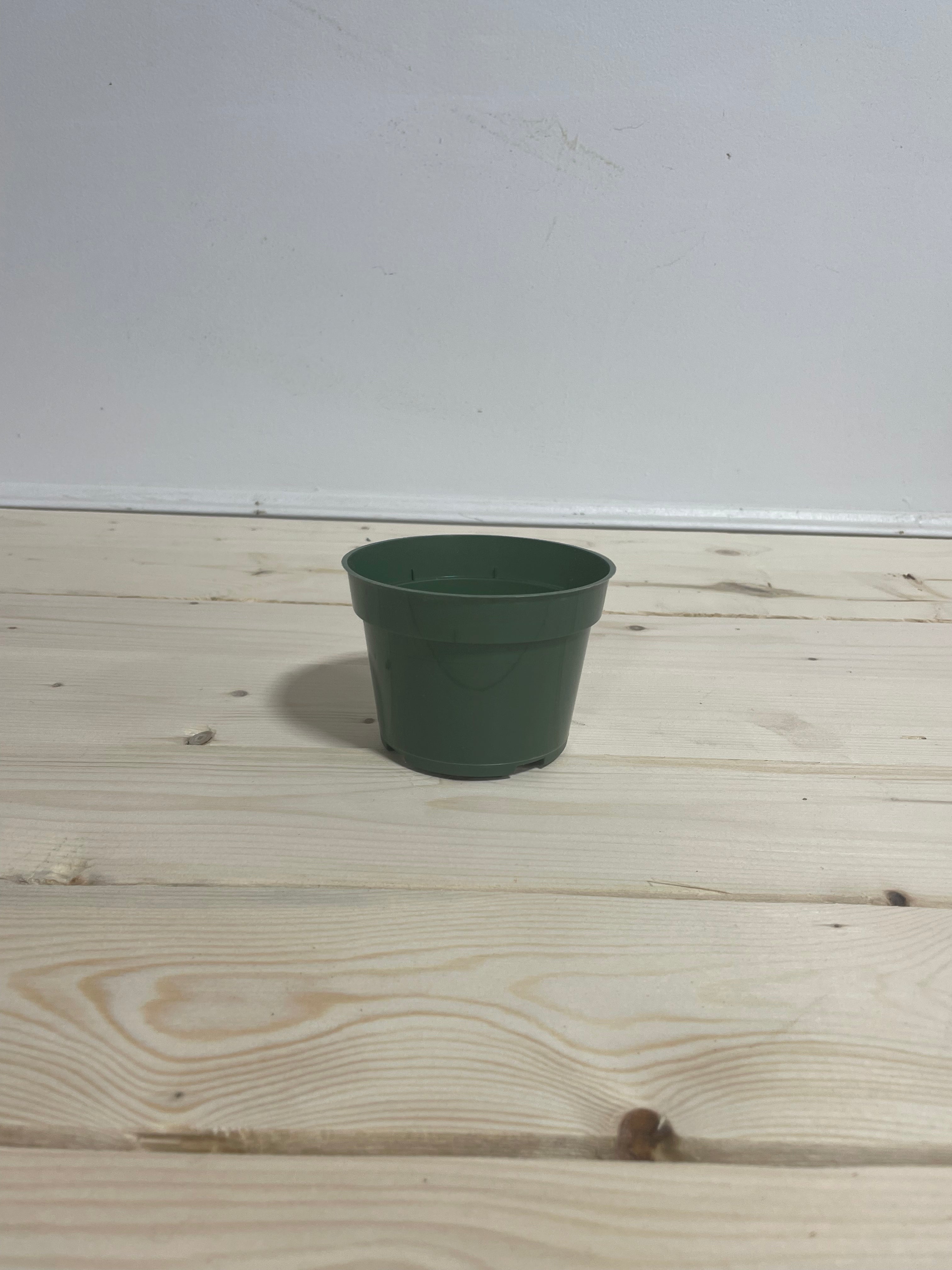 Pot en plastique vert 4''