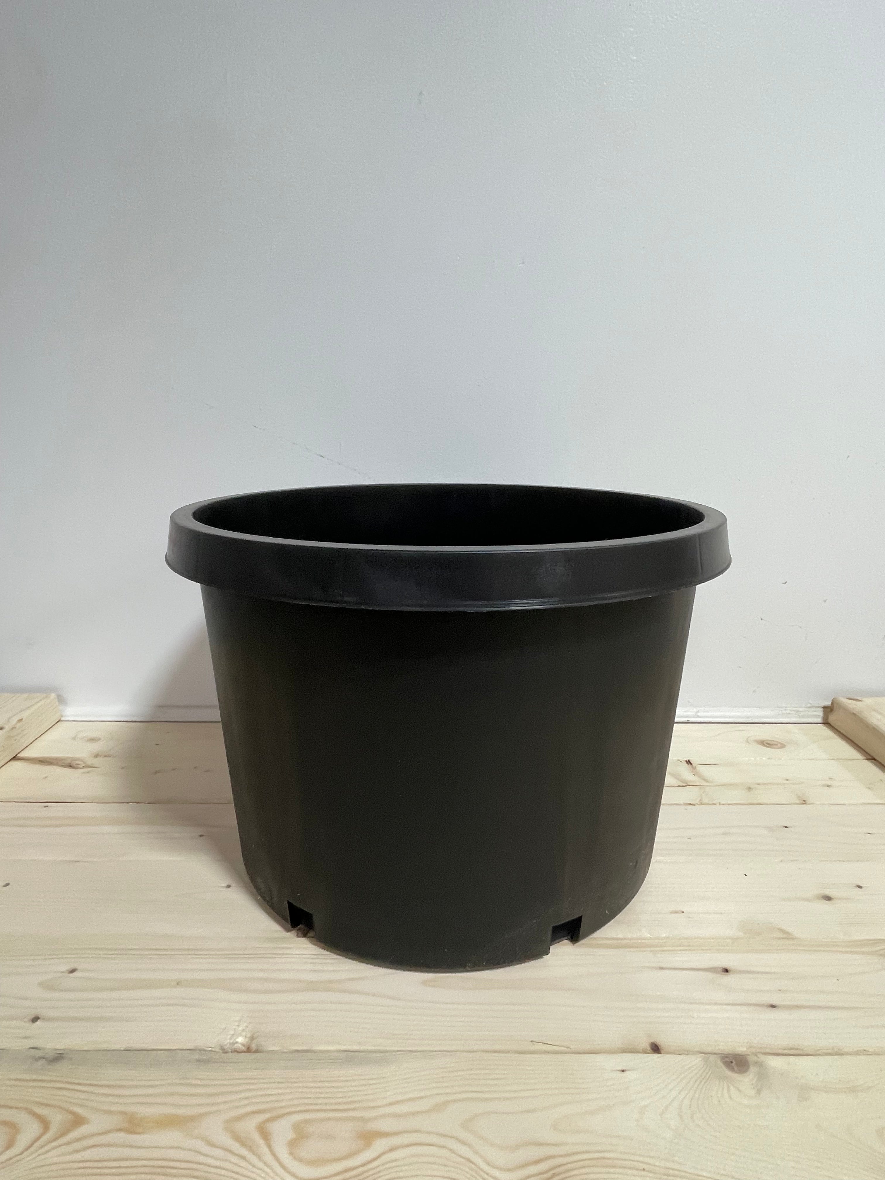 Pot en plastique noir 16’’/10 galons