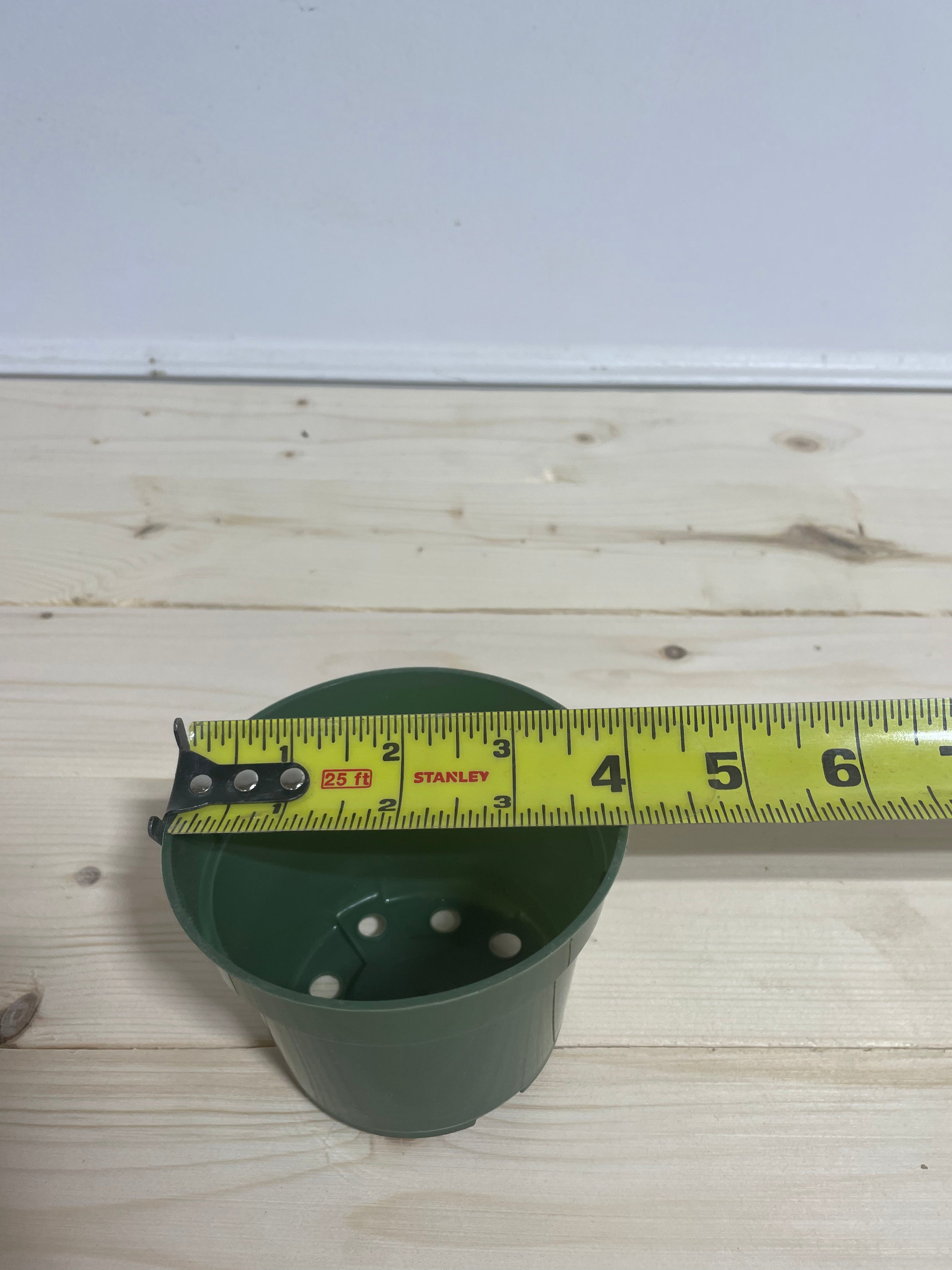 Pot en plastique vert 4''