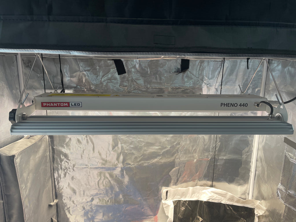 Kit tente de culture complet 2' x 4' x 6,7' croissance et floraison