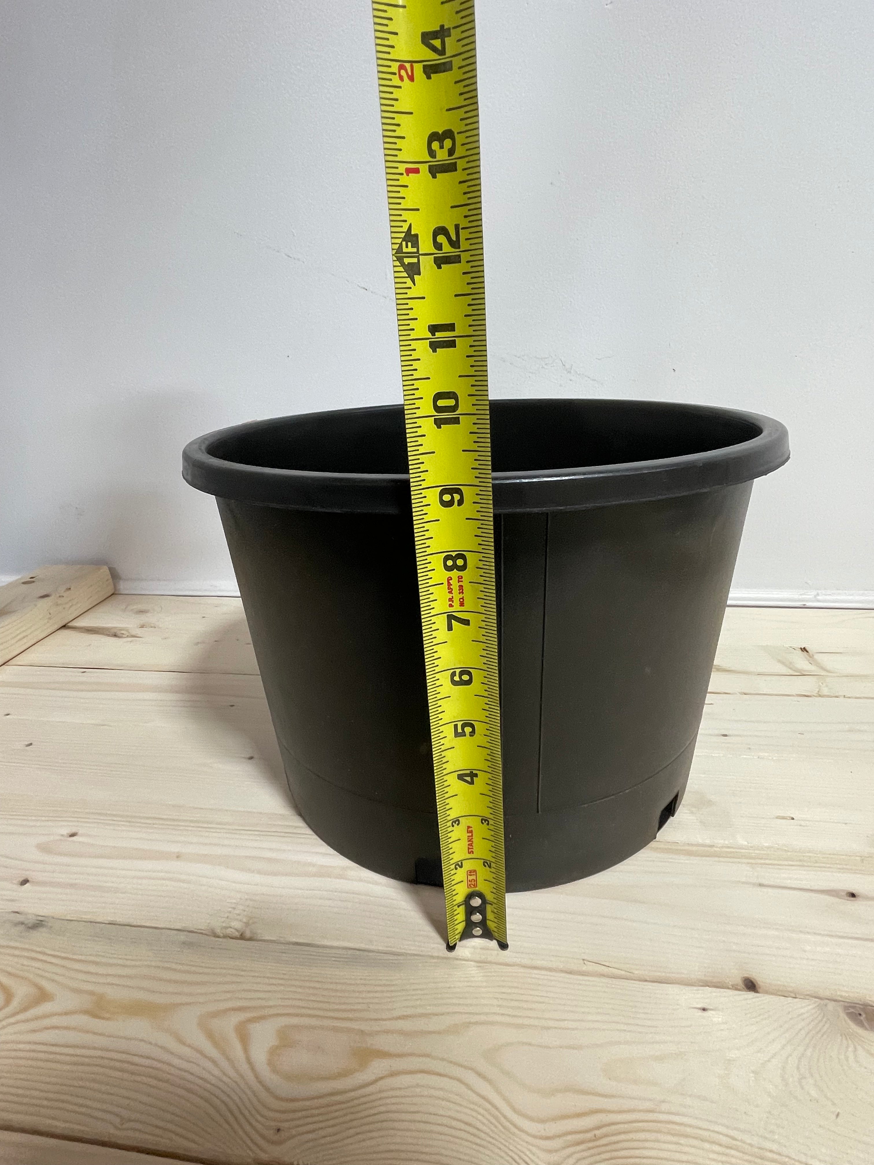 Pot en plastique noir 13’’/5 galons