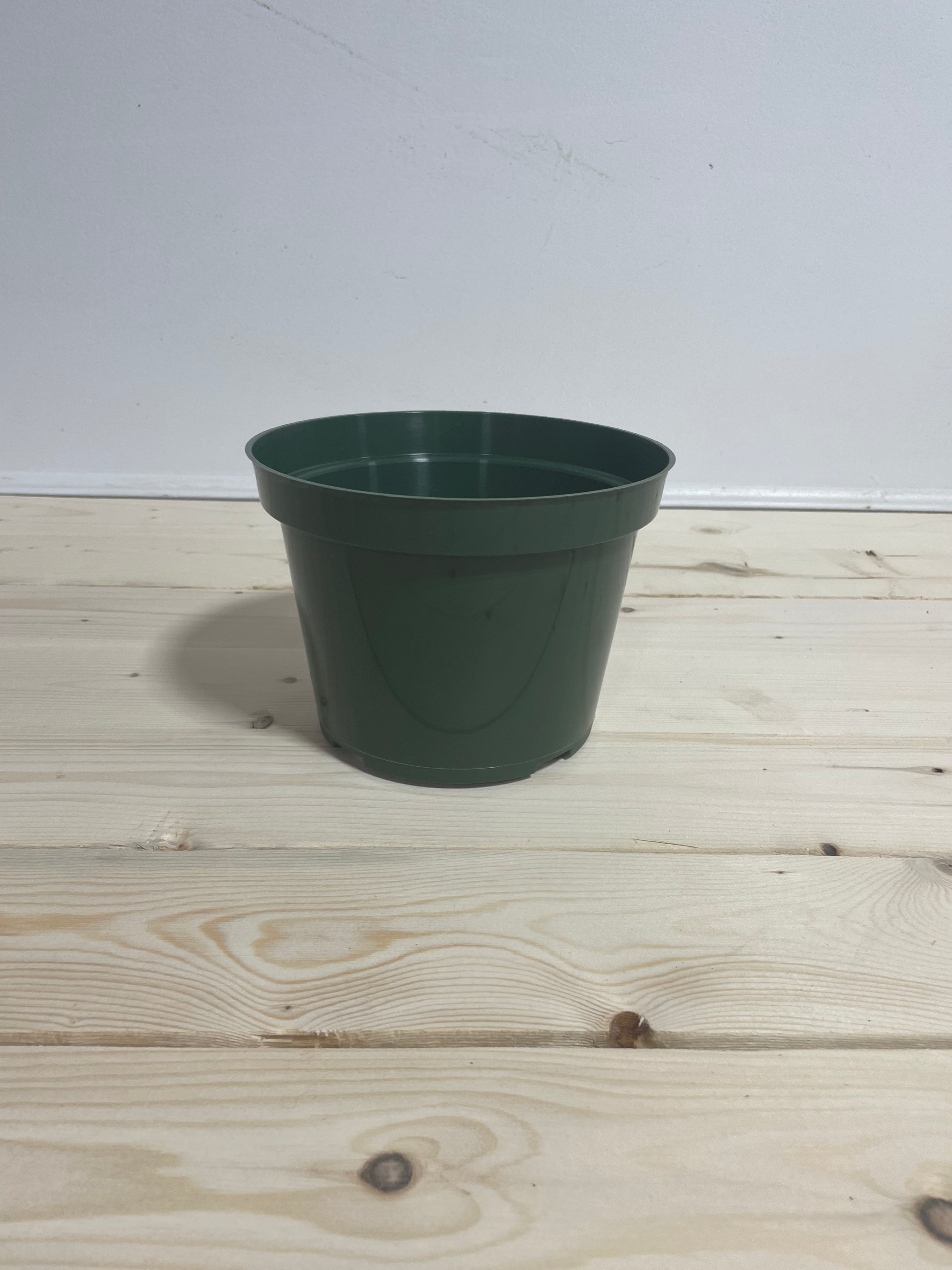Pot en plastique vert 7''