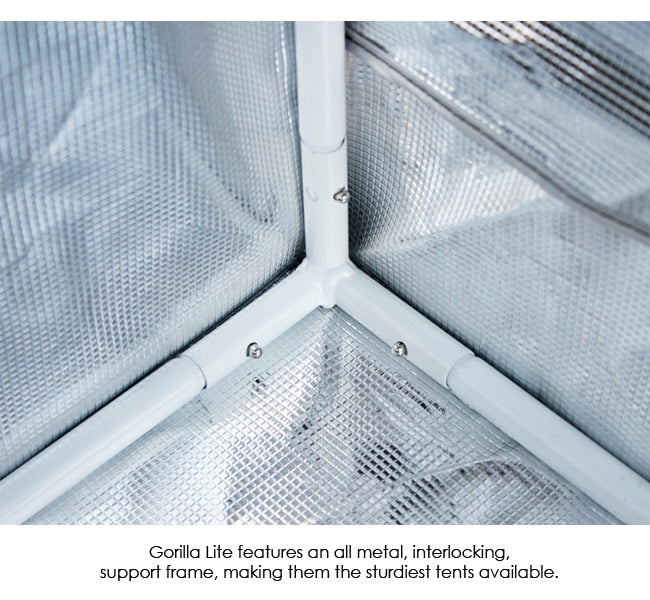 Tente de culture Gorilla 2' x 4' x 6,7'