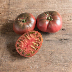 Semence : tomate (black krim)