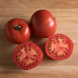 Semence : tomate (népal)